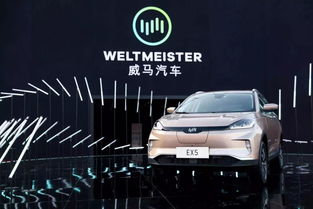 威馬收購(gòu)汽車租賃公司，布局出行領(lǐng)域的三駕馬車